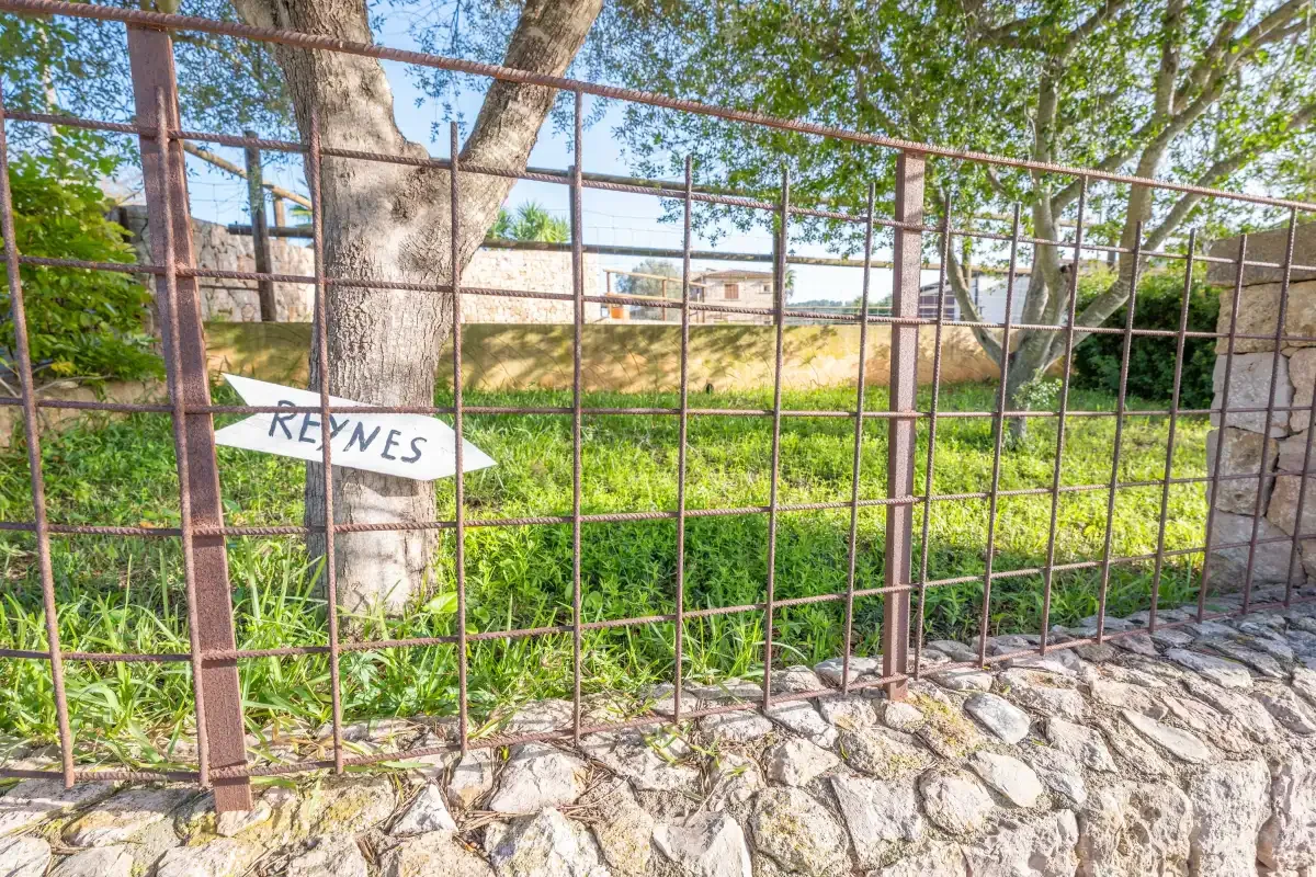 Un jardín cercado con árboles y un muro de piedra.