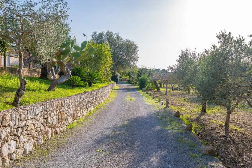 Un camino de grava pasa entre un muro de piedra y árboles en un paisaje rural.