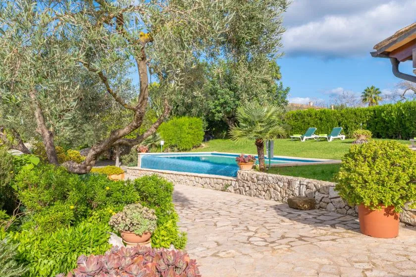 Un patio ajardinado con piscina, pavimento de piedra y plantas frondosas.