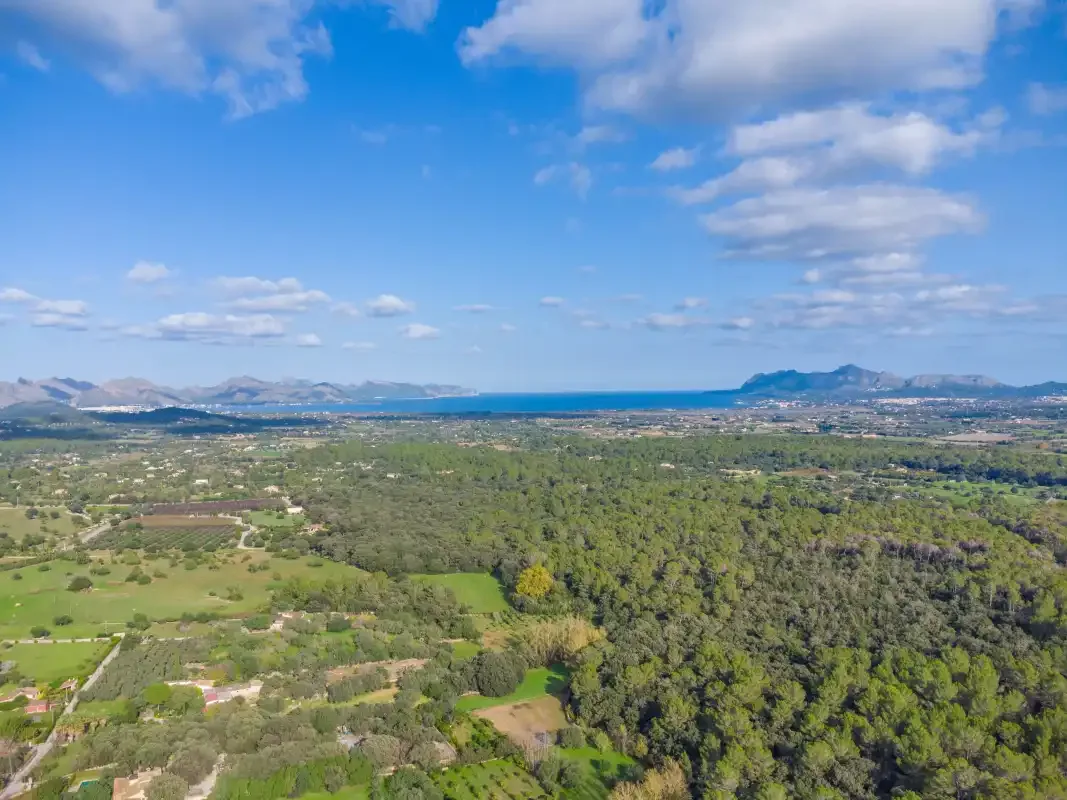 Vista aérea del campo verde que se extiende hacia el mar y las montañas lejanas.