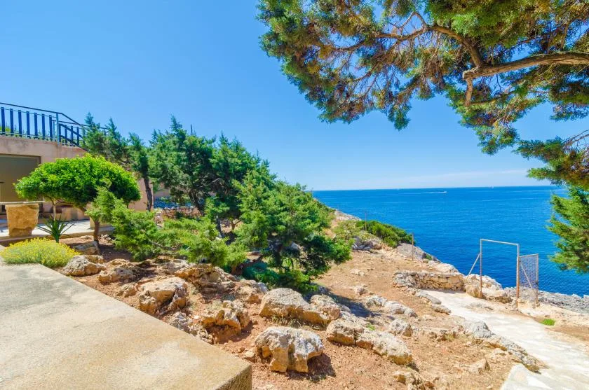 A rocky seaside landscape with trees overlooking the blue water.