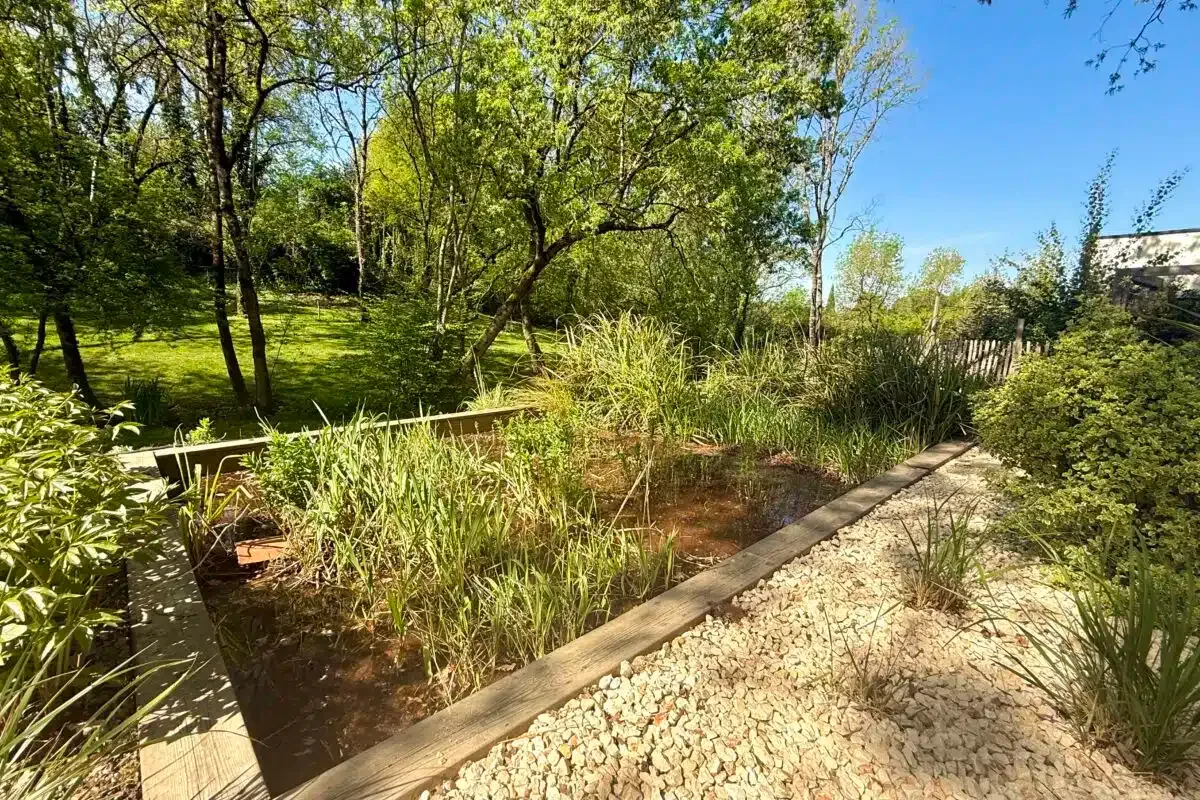 Water-treatment garden features