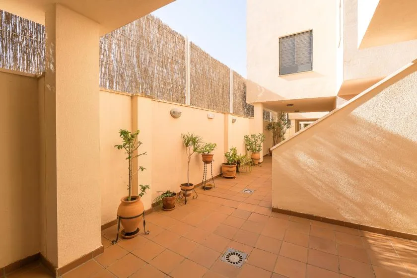 A sunlit tiled courtyard with potted plants along the walls.