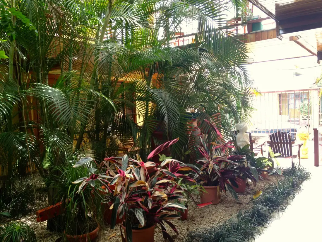 Garden