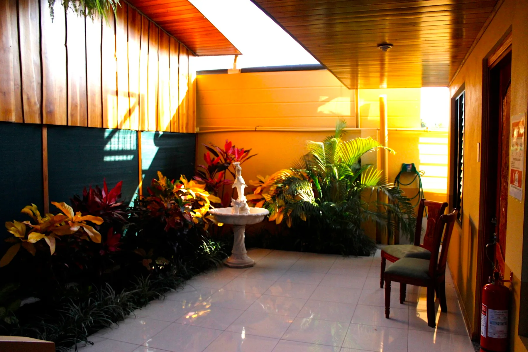 Garden