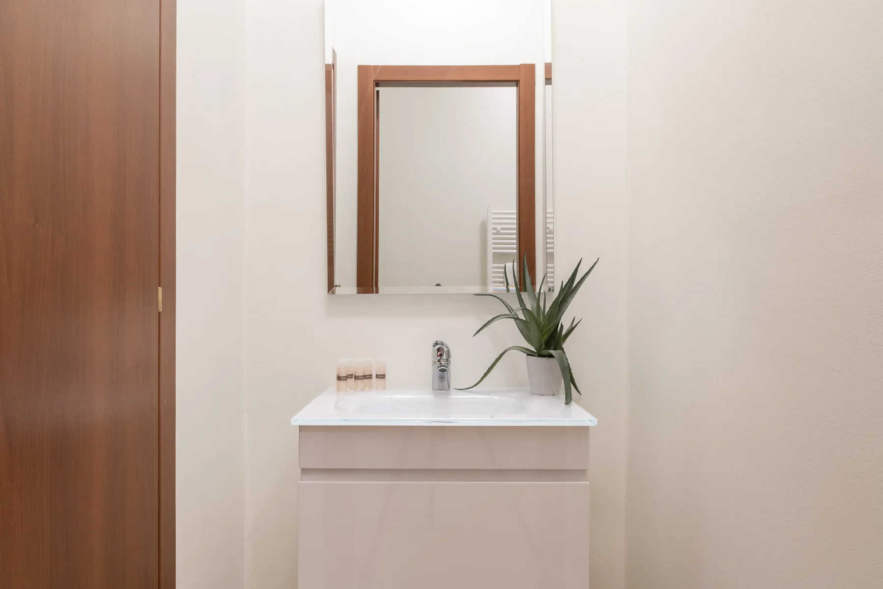 Un lavabo de baño con espejo y una pequeña planta en maceta.