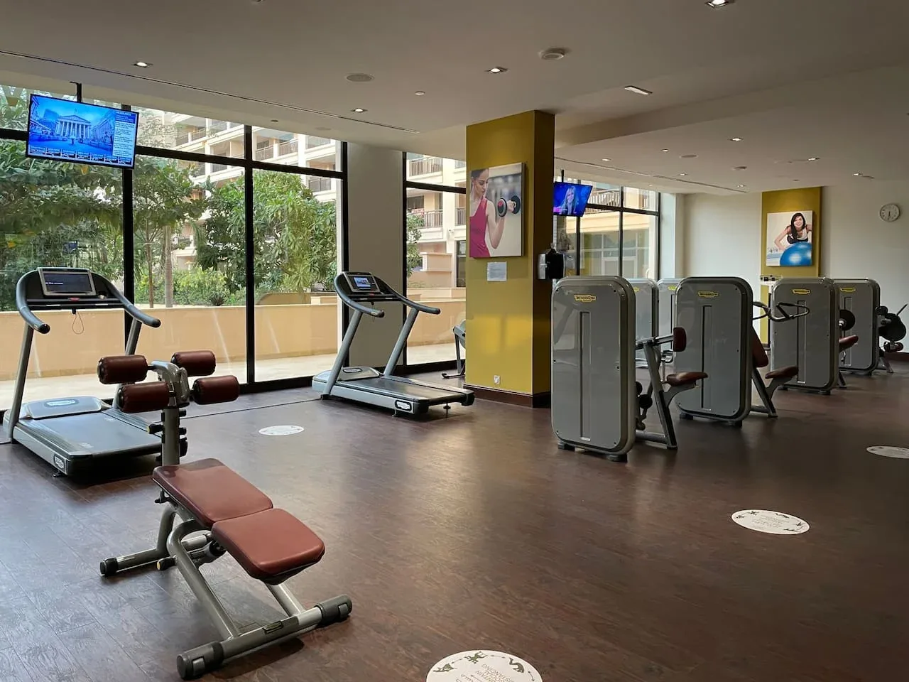 Un gimnasio con máquinas de ejercicio y grandes ventanas con vista a la vegetación.