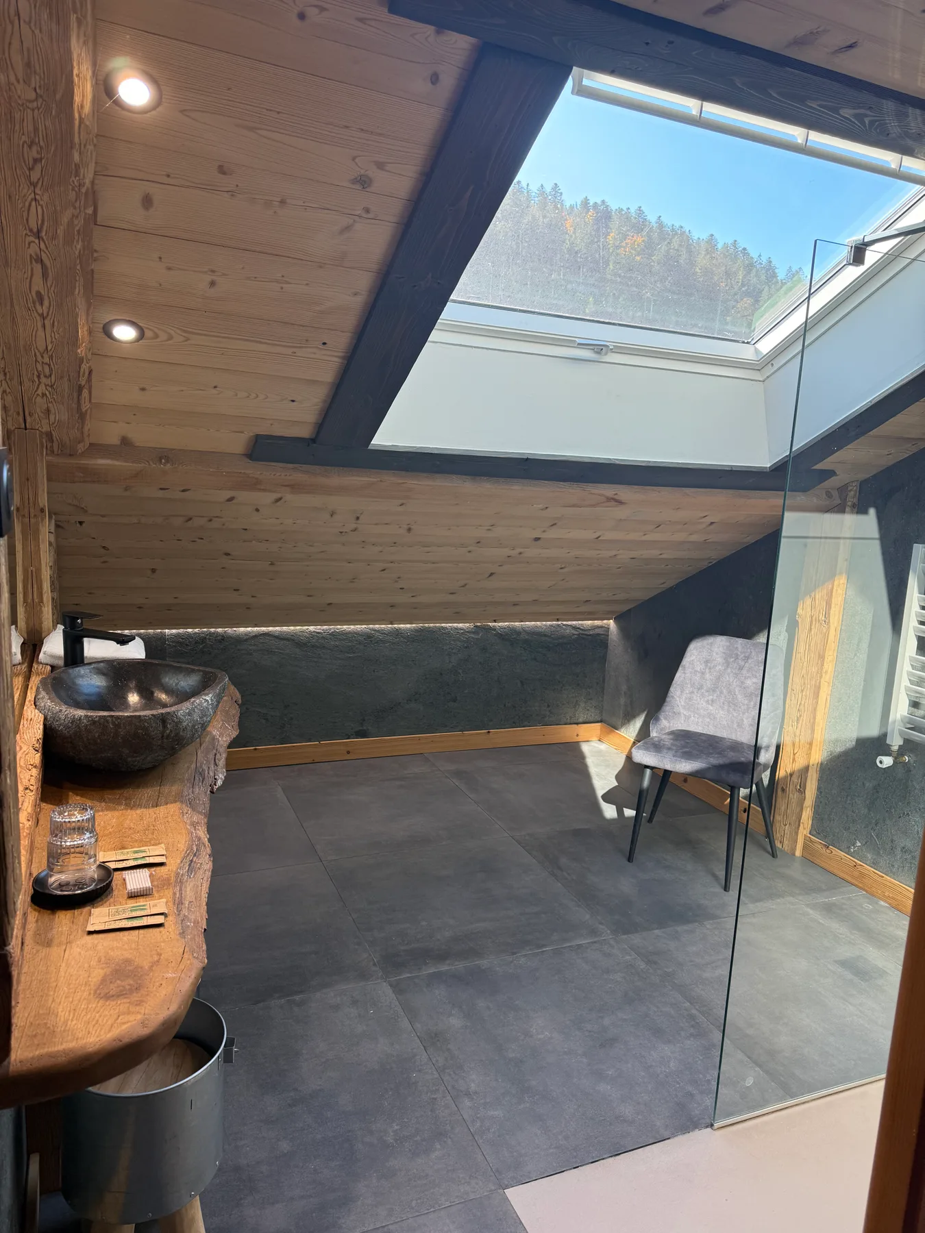 Room bathroom
