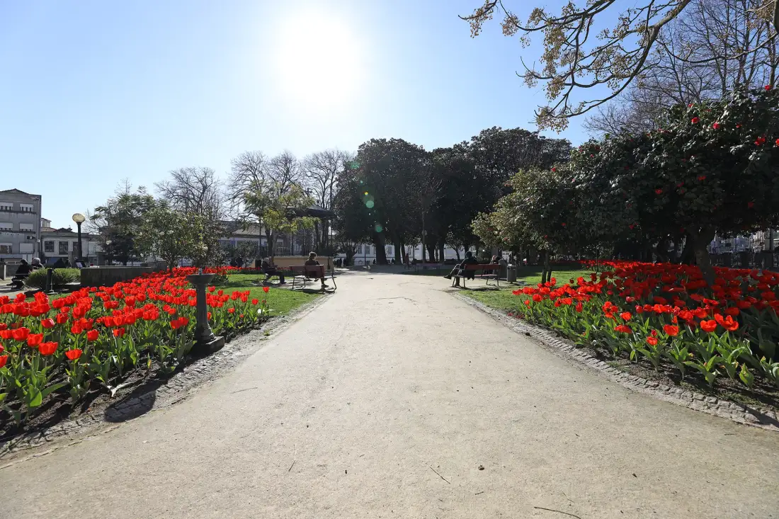 A park path runs between beds of bright red flowers and leafy trees.