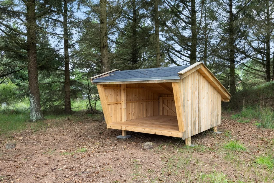 Un refugio de madera está entre árboles en un claro boscoso.
