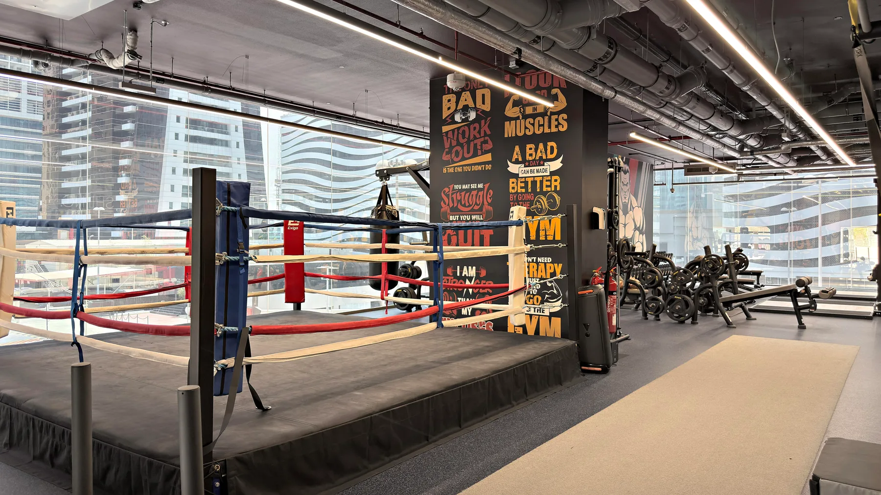 Un ring de boxeo ocupa el primer plano de un gimnasio, con equipos de ejercicio detrás.