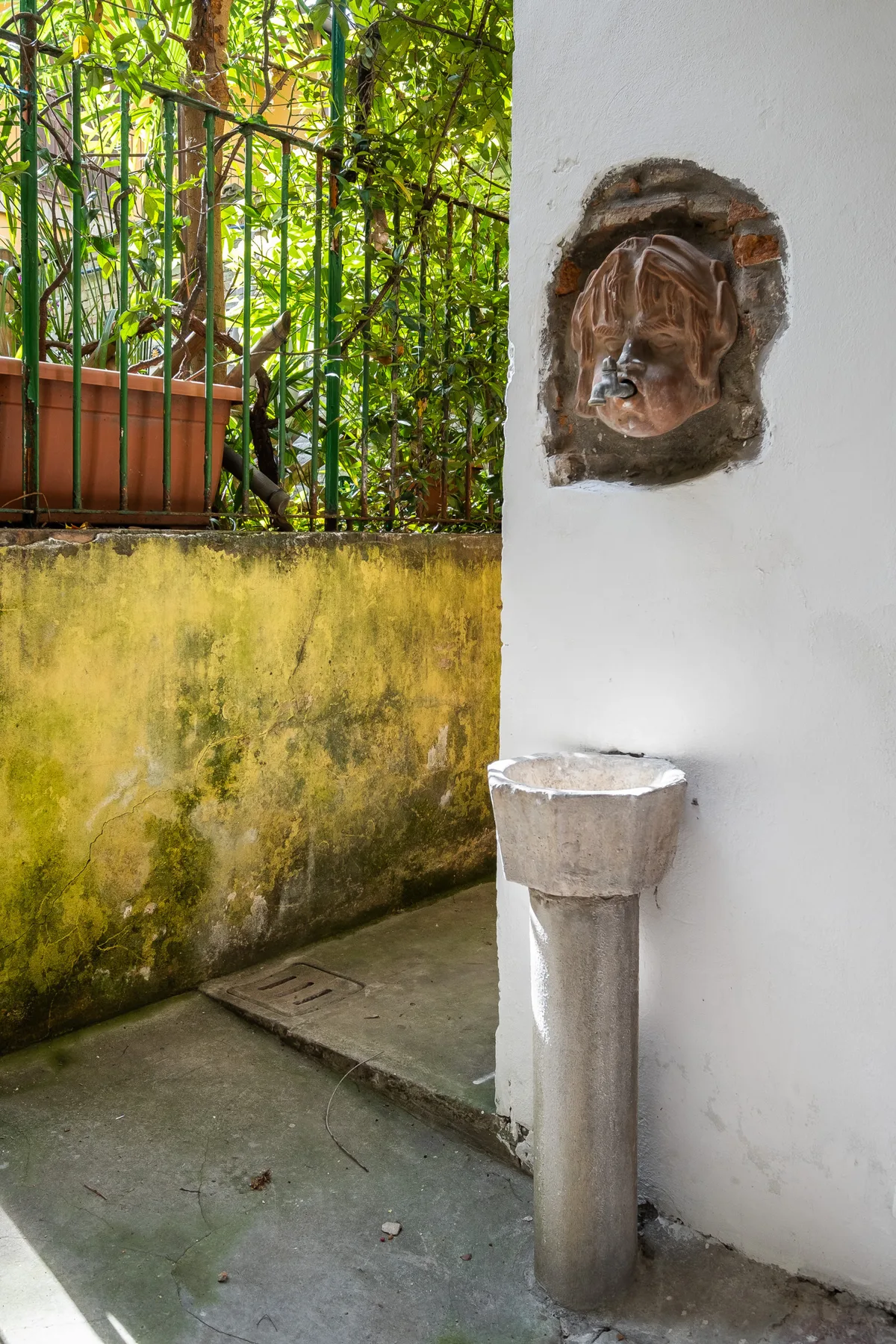 A small outdoor courtyard with a wall-mounted fountain and leafy plants behind a railing.