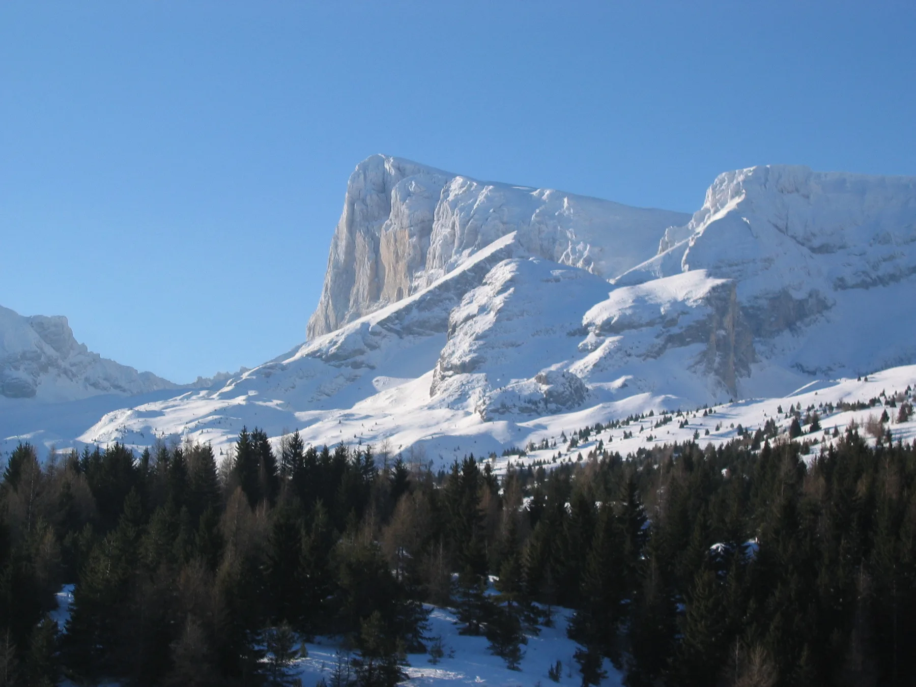 A snow-covered mountain rises above a forest of evergreen trees under a clear blue sky.