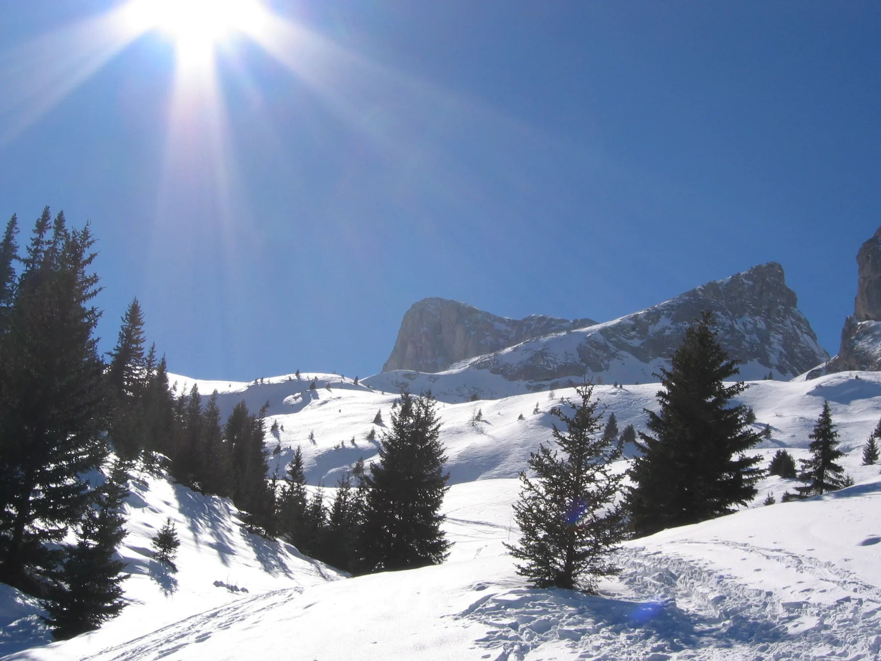 A snowy mountain landscape with evergreen trees beneath a bright blue sky.