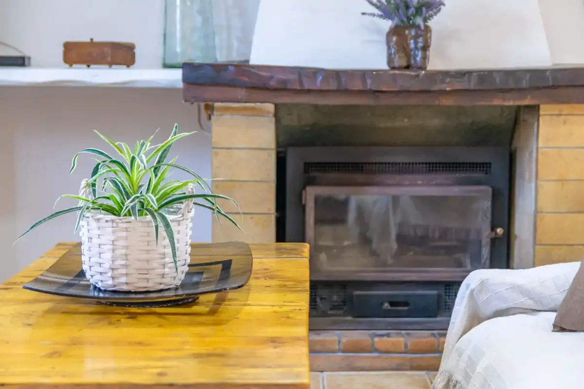 A living room with a fireplace, a wooden table, and a potted plant.