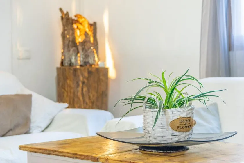 A bright living room with a leafy plant on a low table beside a seating area.