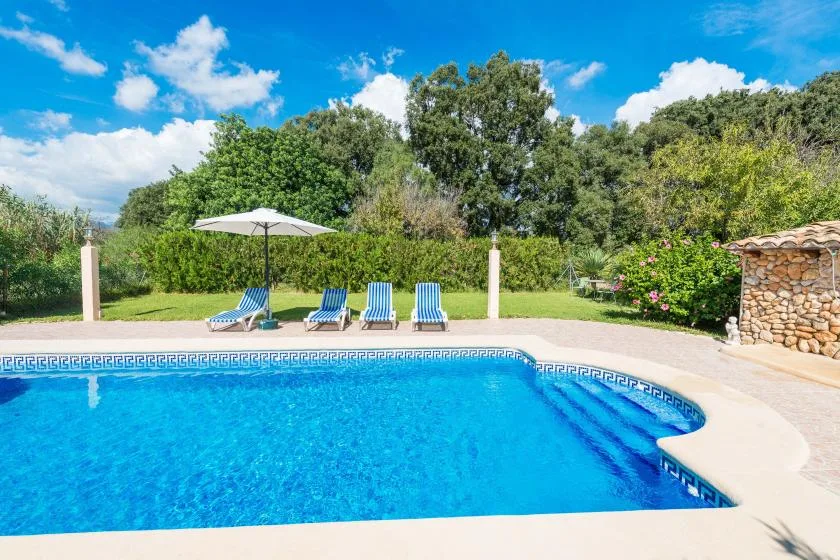 Una piscina al aire libre junto a un patio claro y árboles frondosos.