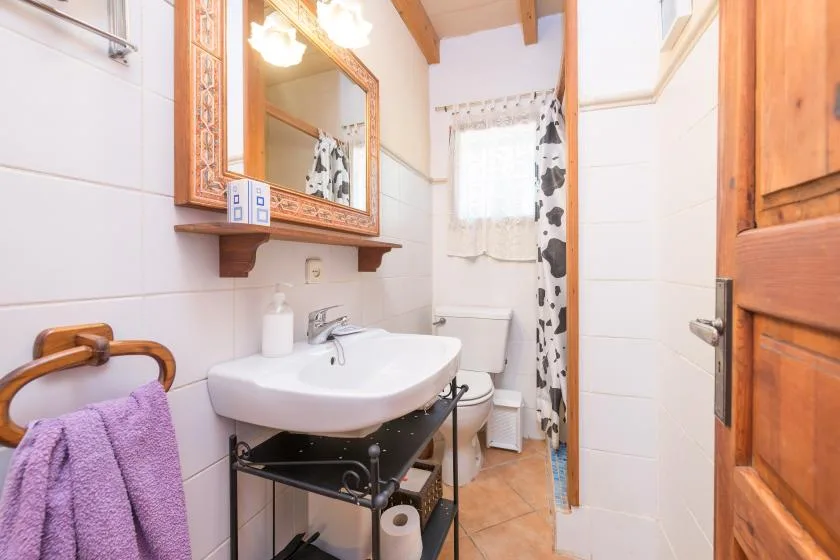 Un baño con lavabo, espejo y cortina de ducha estampada.