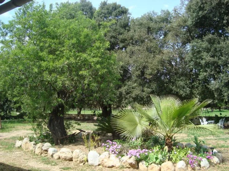 Un jardín con árboles frondosos, plantas con flores y un borde bajo de rocas.