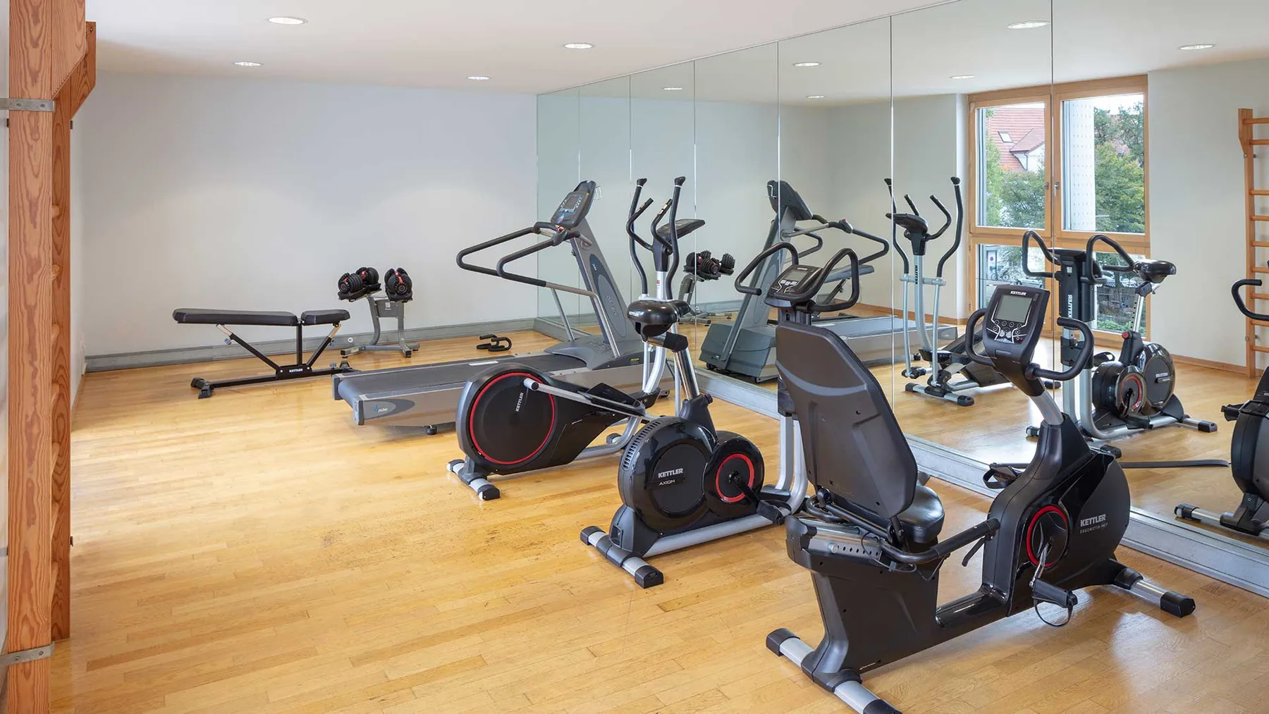 Gimnasio