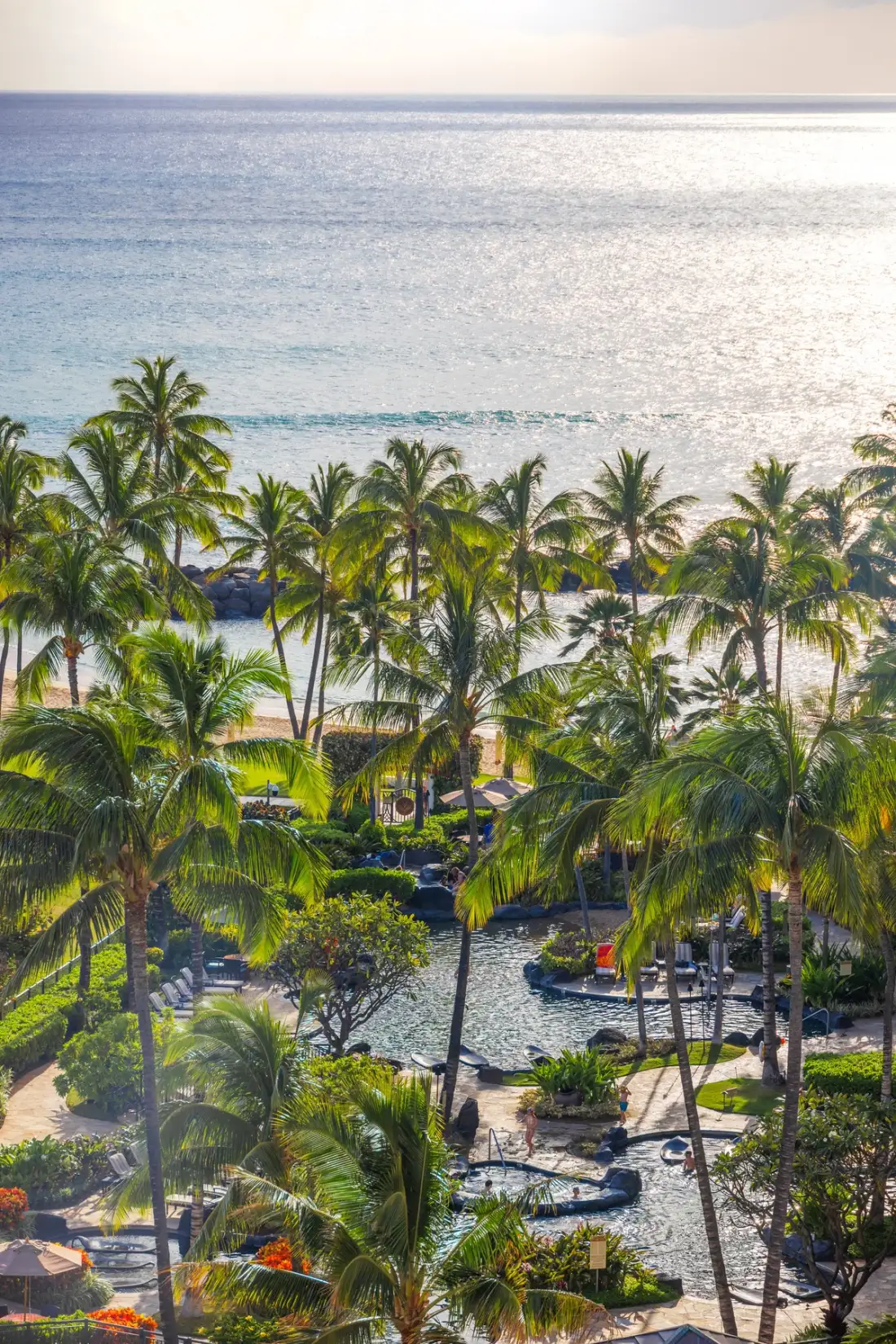 Una escena costera tropical muestra palmeras y jardines junto al océano.