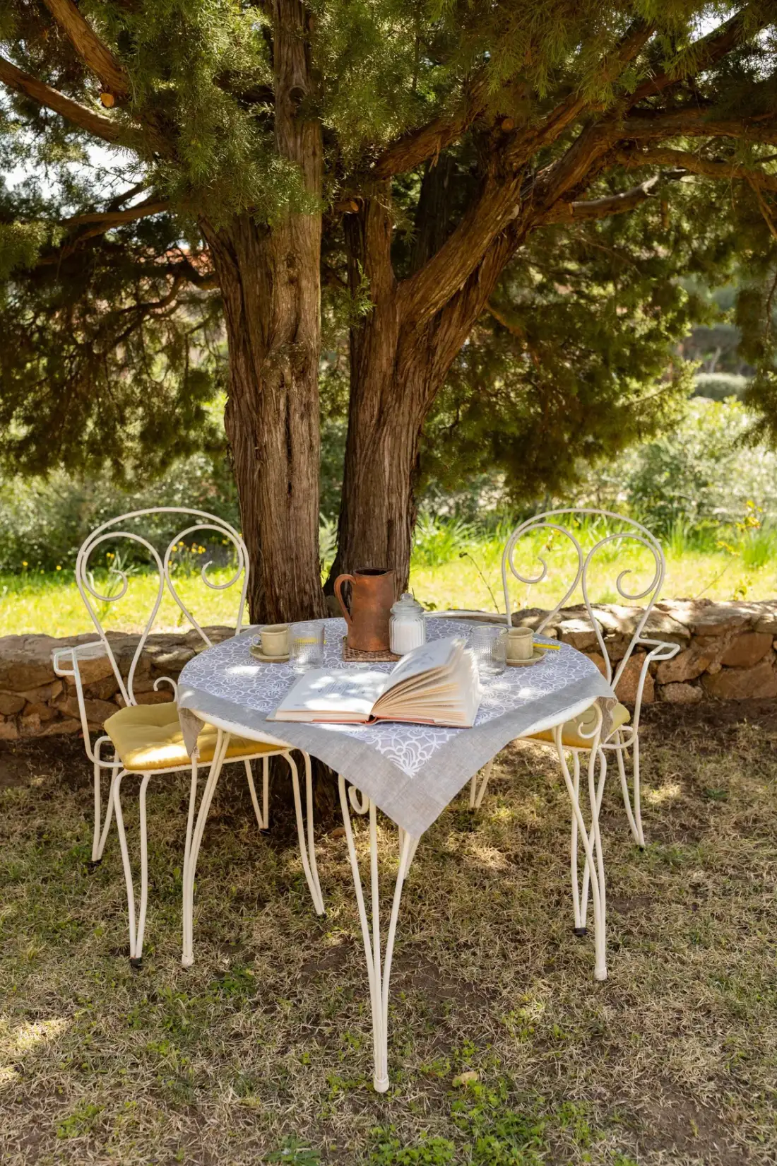 An outdoor dining table with books and chairs beneath a large tree.