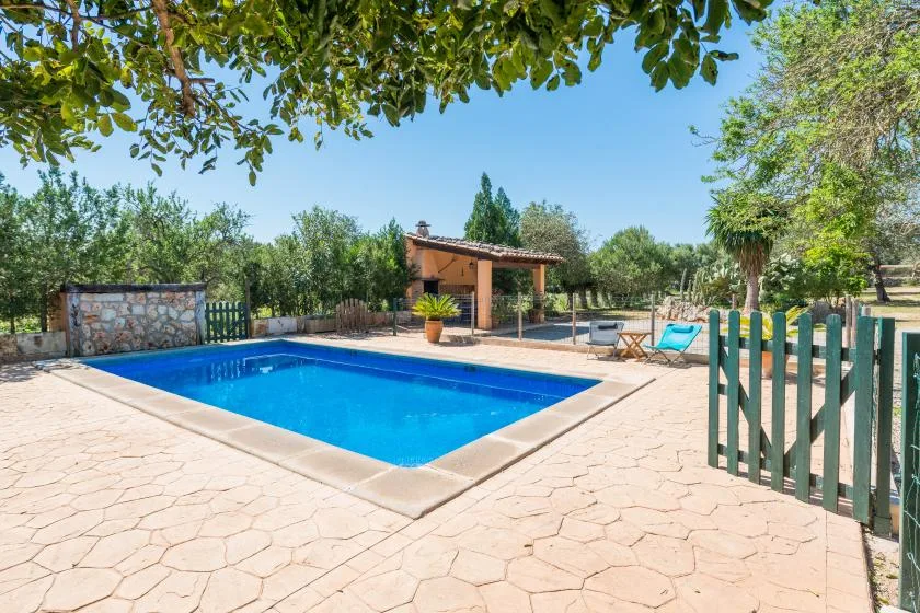 Una piscina al aire libre está junto a un patio pavimentado y árboles frondosos.