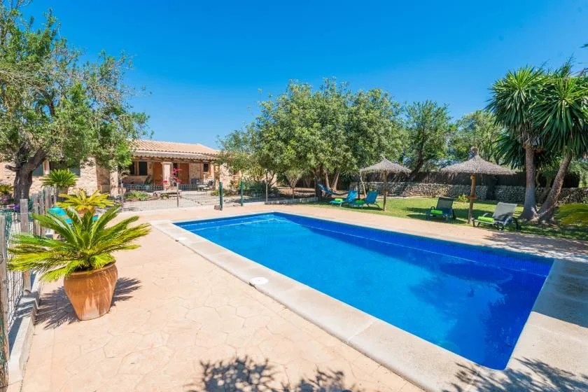 Una piscina al aire libre está rodeada por un patio pavimentado y árboles.