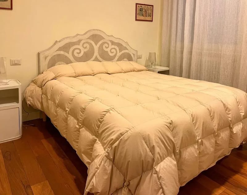Elegant 1BR in Florence