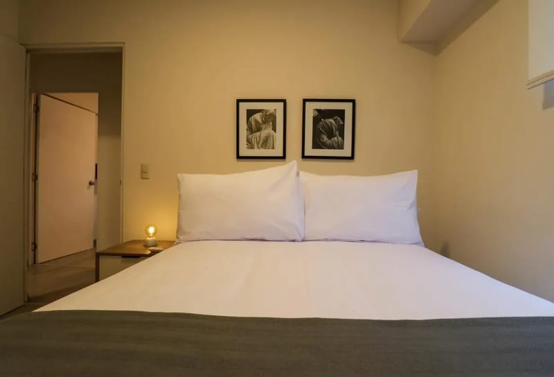 Extraordinary 2BR w/ balcony in San Isidro