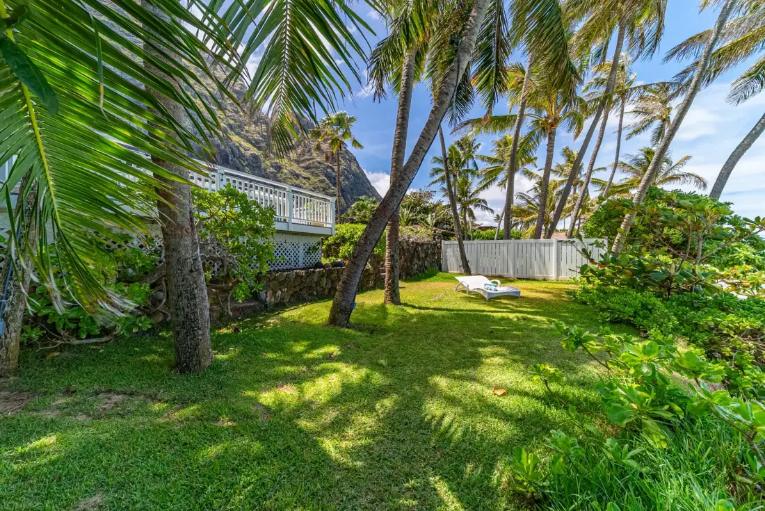 Un jardín tropical con palmeras, césped verde y una cerca blanca.