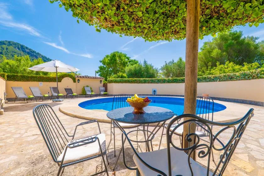 A patio seating area overlooks a swimming pool beneath a leafy pergola.
