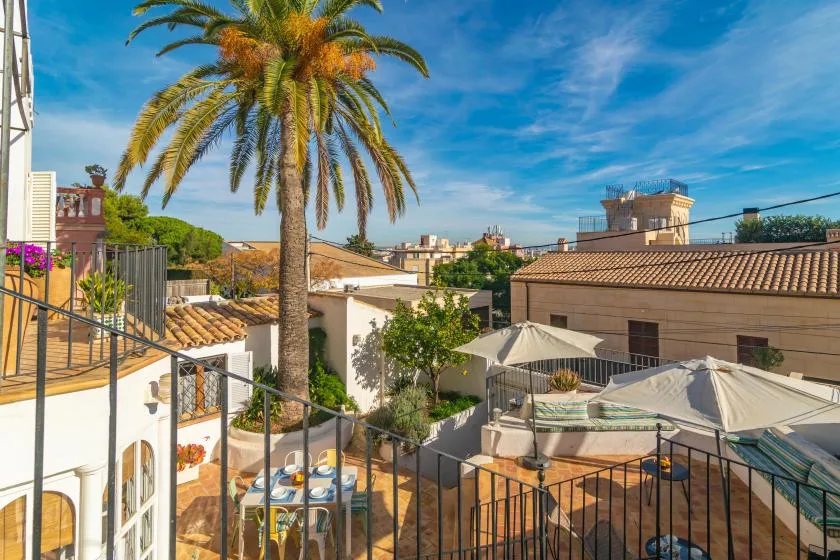 A sunny rooftop terrace with seating, umbrellas, and a tall palm tree.