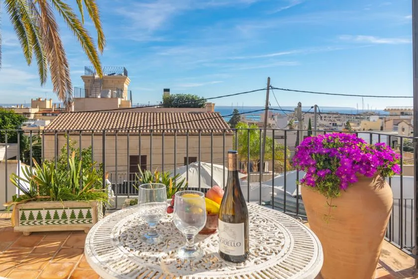 A sunny rooftop terrace with a round table, potted plants, and city views.