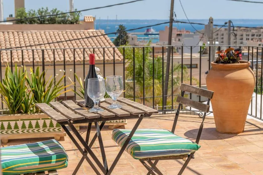 Una terraza soleada con una mesa pequeña, asientos con cojines, plantas en macetas y vistas al mar.