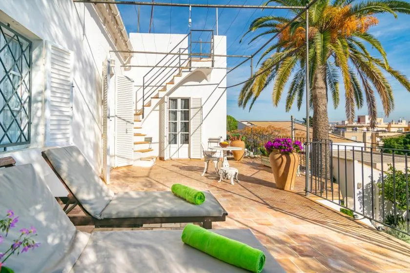 A sunny rooftop terrace with lounge seating, potted flowers, and a palm tree.