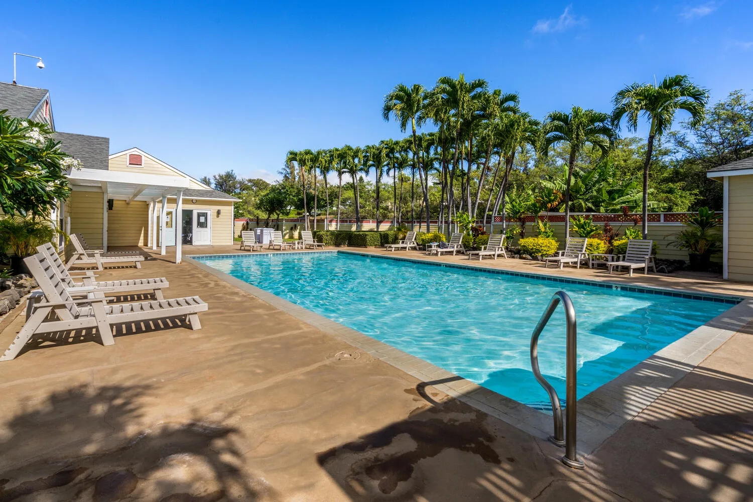 An outdoor swimming pool is surrounded by lounge seating and palm trees.