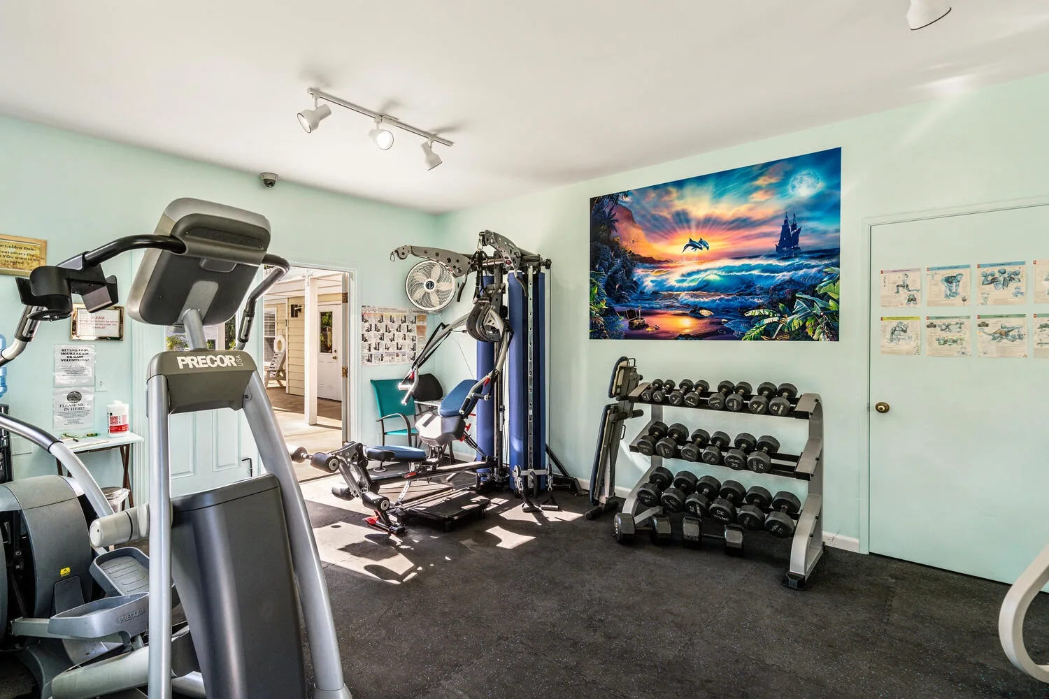 A home gym with exercise machines, weight racks, and a colorful ocean picture on the wall.