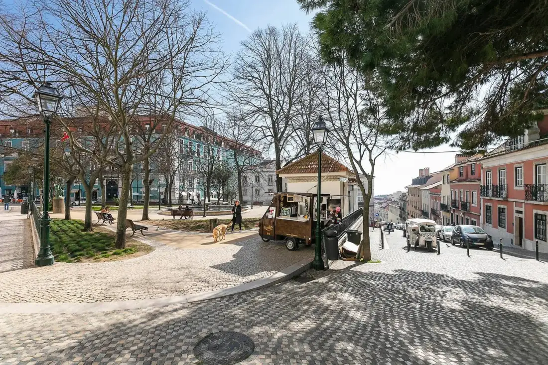 Una plaza empedrada con árboles frondosos, bancos y edificios alrededor.