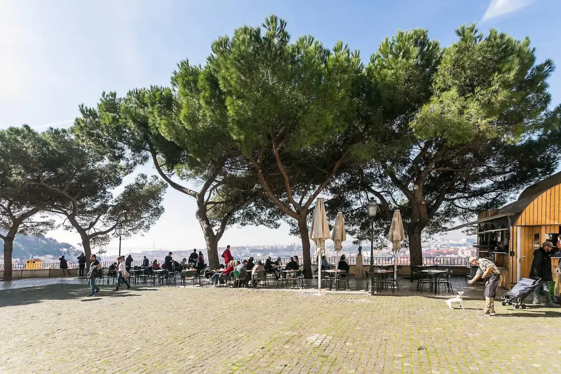 Una terraza exterior pavimentada bajo grandes árboles, con mesas y sillas.