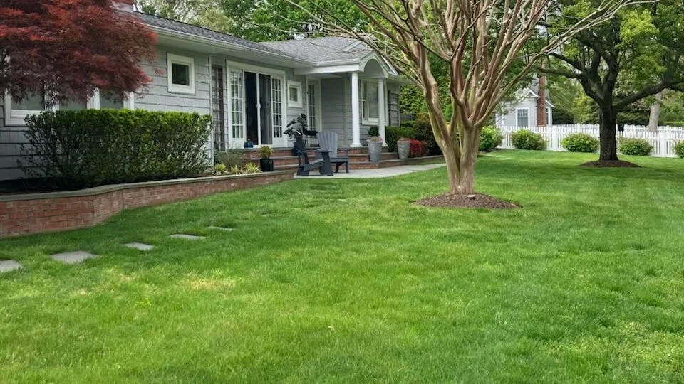 Una casa da a un césped verde, con árboles y arbustos alrededor del patio.