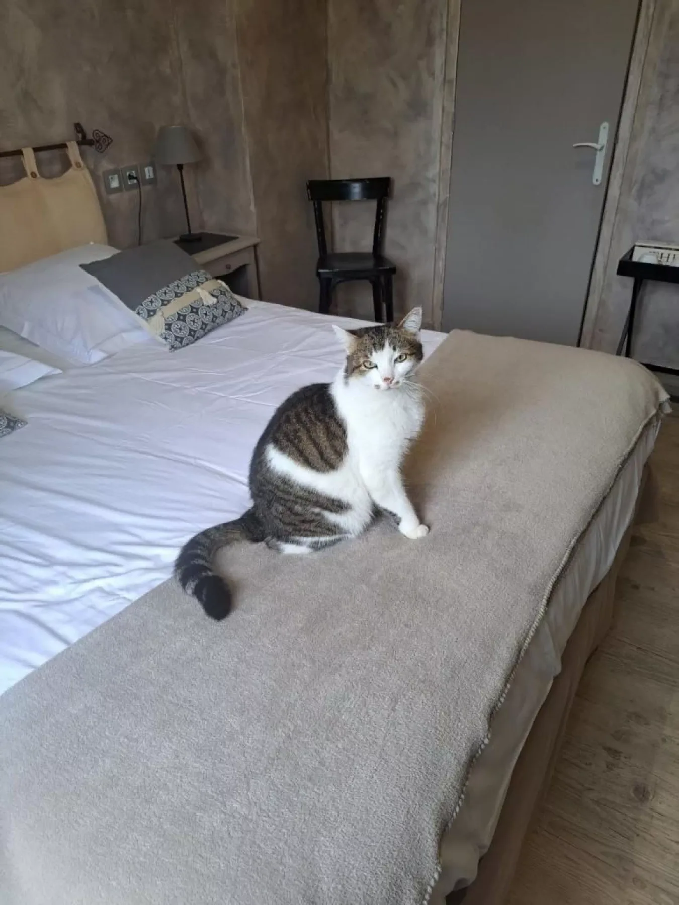 Foto de los aspectos destacados del hotel
