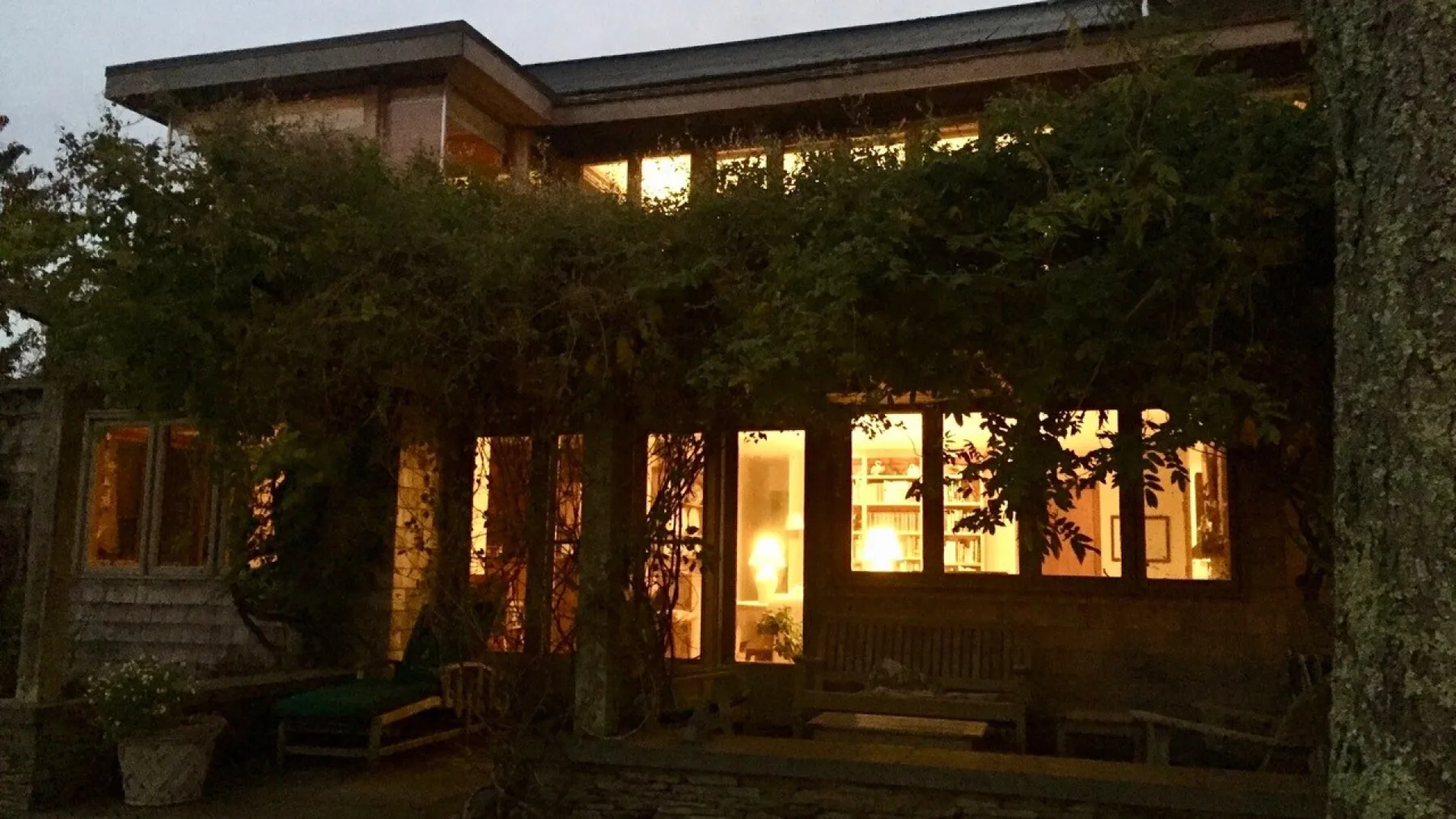 A warmly lit house is partly obscured by leafy trees at dusk.