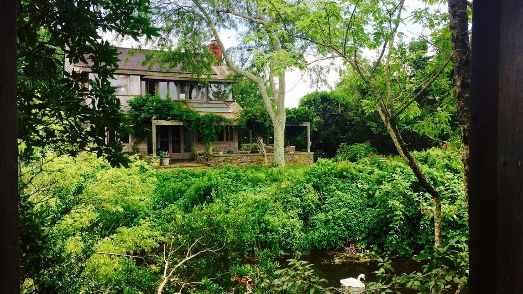 A house stands behind dense greenery and trees.