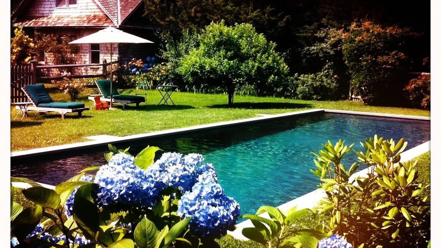 A garden pool sits beside a lawn with lounge seating and flowering plants.