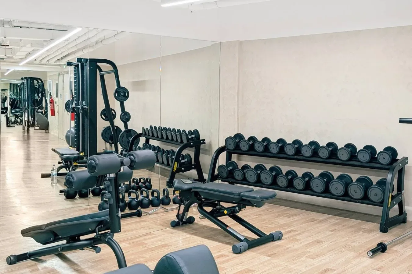 Una zona de gimnasio con filas de mancuernas y máquinas de ejercicio.