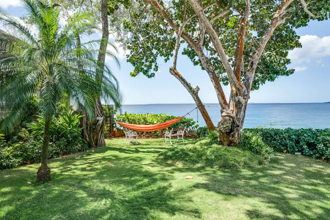 Un jardín junto al mar con césped y una hamaca bajo un árbol grande.