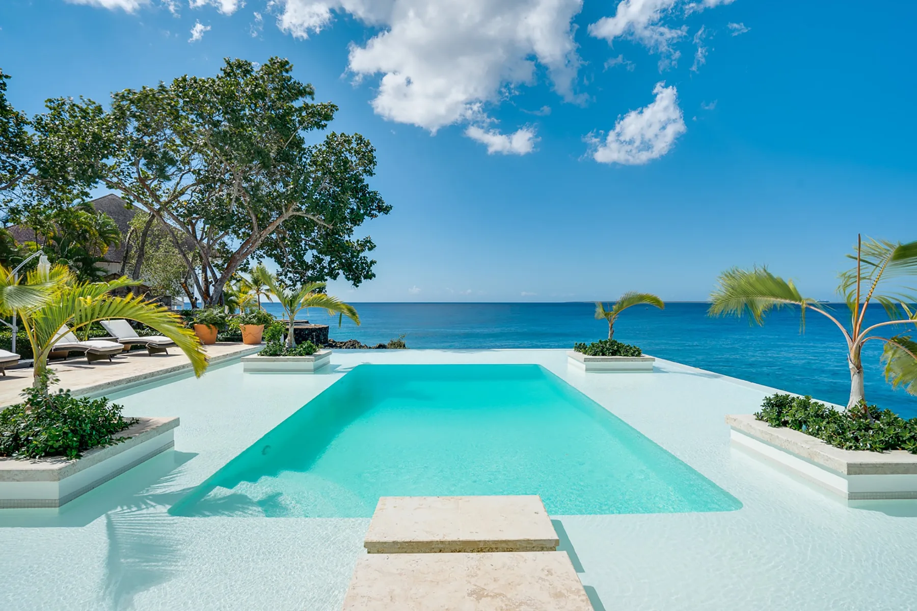 Una piscina infinita da al océano, con palmeras junto a la piscina.