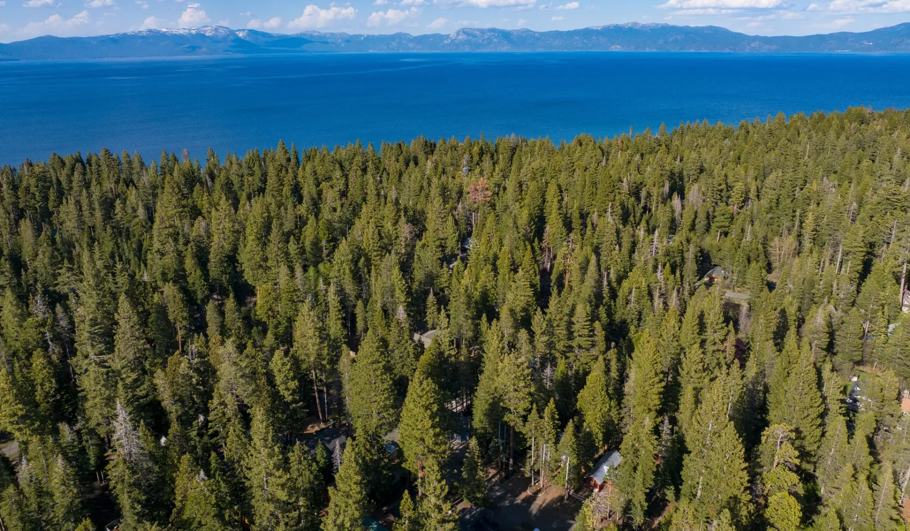 Aerial view of a dense forest beside a large blue lake, with mountains in the distance.