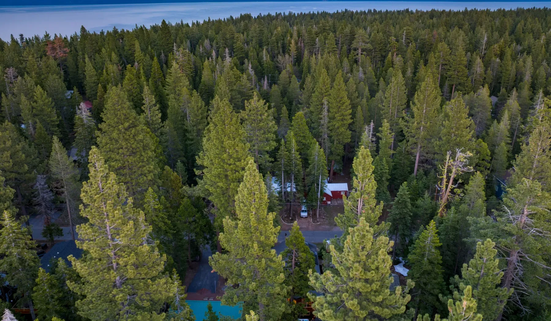 Aerial view of a dense forest with a small red-roofed building among the trees.